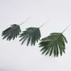 Folhas de palmeira artificiais nórdicas estilo Ins, decorações para sala de estar e casamento, folhas falsas, folhas de girassol de plástico, folhas de cauda espalhadas e folhas de árvore de ferro