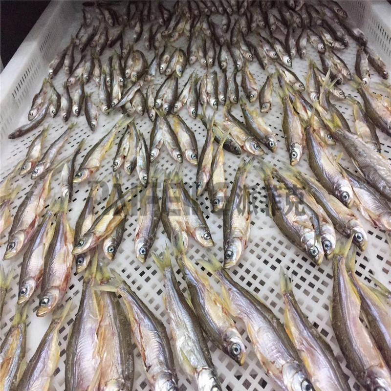 32eb336470e3ec23a0deb98463dca2