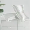 Fronha de Seda Cor Sólida de Verão, Fronha de Gelo de Seda, Fronha de Beleza Tencel, Par, Capa de Travesseiro Única para Casa