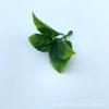 Planta de simulação planta de plástico acessórios para plantas aquáticas grama plana grande com flor de simulação feixe de planta aquática grama decorativa atacado
