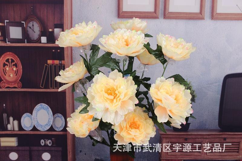 IMG_9556_副本.jpg