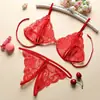 Conjunto de Lencería Sexy para Mujer, Entrepierna Abierta, Tres Piezas, Encaje Sexy, Transparente, Panties de Entrepierna Abierta, Sujetador, Tirantes, Espalda Descubierta, Tentación