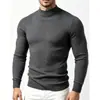 Comercio Exterior al por Mayor Otoño e Invierno Hombres Europeo y Americano Suéter de Punto Trenzado Cuello Alto Talla Grande Moda Casual Jersey Prendas de Punto