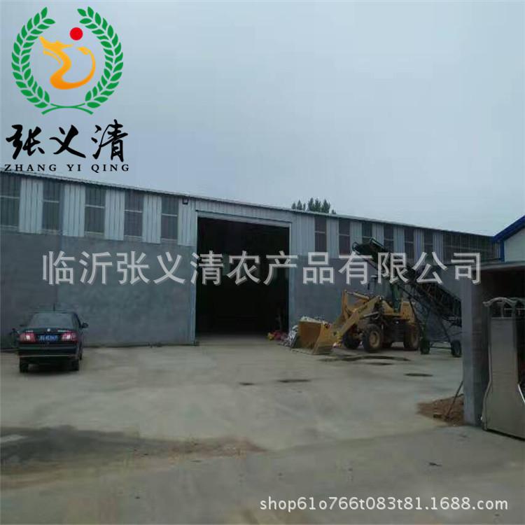 生地瓜干 (22)