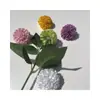 Flor de jabón de Navidad Crisantemo de ping-pong Nuevo Cabezal de flor de jabón versátil Caja de regalo Ramo de rosas Hecho a mano Venta al por mayor