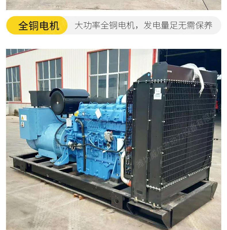 玉柴350千瓦发电机组_08.jpg