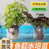 Suporte para planta hidropônica de aquário, cesto de plantio fixo, copo de cultivo de plantas aquáticas para casa montado na parede, vaso de flor decorativo para paisagismo de aquário