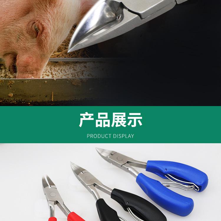 详情-12.jpg