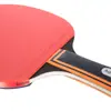 Raqueta de Tenis de Mesa Deli Angnet F2311, Goma Antiadherente Doble Cara, Mango Largo, Duradera para Entrenamiento en Interiores y Exteriores, Raqueta Individual, Raqueta Horizontal