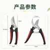 Tijeras de podar personalizadas para árboles frutales, tijeras de jardinería, herramientas de paisajismo, tijeras de paisajismo, tijeras de podar