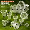 Tazas de Plantación Duraderas para Melones y Frutas Hidropónicas, Fijadores de Raíces para Cultivo Sin Suelo, Cestas de Plantación Hidropónicas para Vegetales, Plantación Hidropónica de PP