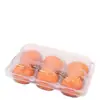 Cristal de Fuego Caqui Pequeño Caja de Embalaje Caja de Ampolla Desechable PET con Tapa y Columna de Soporte Caja Conservadora de Frescura Bandeja de Plástico Transparente para Frutas