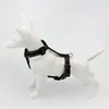 Nuevo collar para correa de mascota, chaleco arnés de seguridad para mascotas y juego de correa, con características reflectantes, suministros para mascotas