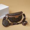 Bolsas de Nicho Seleccionadas Cuidadosamente para Mujer, Bolsos Nuevos para Mujer, Bolsos de Pecho de Moda, Riñoneras, Bolsos para Suegra, Bolsos Cruzados de Hombro Único de Nicho de Moda
