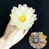 Danza Clásica: Entrando al Estanque de Lotos, Recogiendo Hojas de Loto, Flores de Loto, Frutos de Loto, Sosteniendo Accesorios, Anillos, Bandas Elásticas, Flores para Dedos y Muñecas