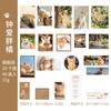 Adesivos de dia bonito amor animal de estimação Série Grande Segredo gatos e cachorros estilo revista coreana adesivos 6