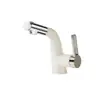 Lavabo Doméstico Microburbujas Dopamina Grifo Universal Caliente y Frío Extraíble Retráctil Enjuague Bucal Baño Inodoro