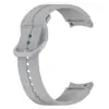 Chegada Nova de Fábrica Para pulseira de relógio Samsung watch6 classic com ranhura pulseira watch4 pulseira watchFE