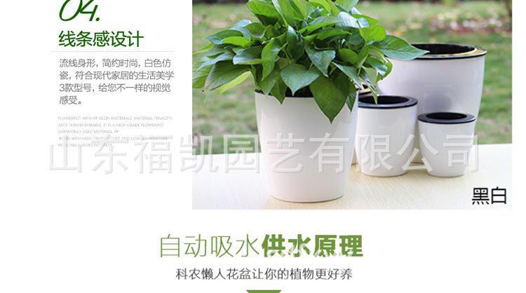 懒人花盆新_09
