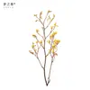 Flor Eterna Garra de Canguro Estilo Bosque Flores Secas Naturales y Ramas Ramo Real Lujo Decoración para el Hogar Venta al por Mayor desde Fabricante