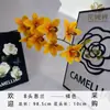 Nuevo Modelo de Orquídeas Phalaenopsis Artificiales de 8 Cabezas, Flores Artificiales para Bodas y Decoración del Hogar, Adornos de Arreglos Florales de Goma Suave, Venta al por Mayor