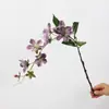 Colgante de planta Fruto de aliso Pegamento suave Fruto de frijol del amor Colgante de pared Decoración de paisajismo Accesorios para arreglos florales Seda suave