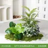 Flores Artificiales y Plantas Verdes Hy-Ay8 para Paisajismo, Arreglos Florales, Plantas Falsas para Decoración y Exhibición en Centros Comerciales, Escaparates de Tiendas y Hermosas Exhibiciones