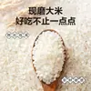 Xianggufang Vila Pequena do Nordeste Pérola de Arroz Arroz Pacotes de 0,5kg 500g Arroz Novo da Estação Data Fresca
