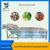 Equipamento de processamento de vegetais semiacabados pré-fabricados recomendado equipamento de limpeza de corte e trituração de vegetais Máquina de limpeza de brotos de bambu Jed