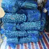 Bolsas Zizania Bolsas Cubo Zizania Bolsas Zizania Bolsas Zizania Bolsas Especiales Zizania Bolsas Azules Zizania Bolsas de Plástico