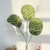 Folha de Tartaruga Celebridade da Internet Sala de Estar de Casa Planta Verde Artificial Fulin Folha Grande Única Planta Falsa Decoração Novo Produto Atacado