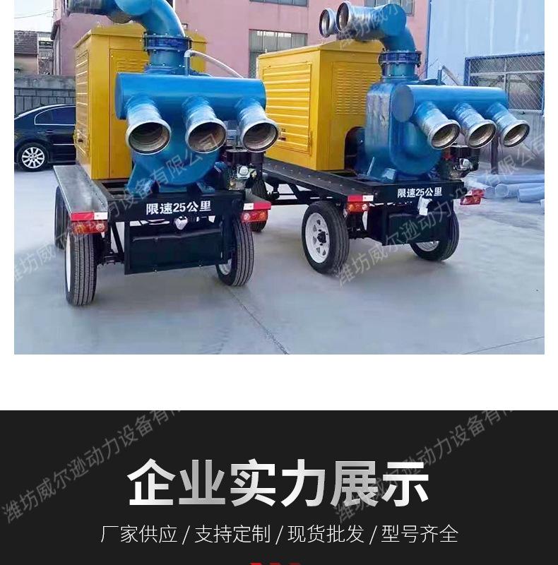 柴油水泵机组_13.jpg