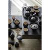 Juego de Té Estilo Japonés Wabi-Sabi con Cerámica Rústica, Tetera Colección Tinta Humo Negro, Gaiwan, Taza de Té, Posavasos Venta de Liquidación