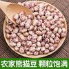 Novos feijões panda agricultores de Yunnan produzem feijão de arroz fresco feijão vermelho florzinha feijão carioca atacado feijões novos feijão olho de gato feijão cilindro grãos grossos