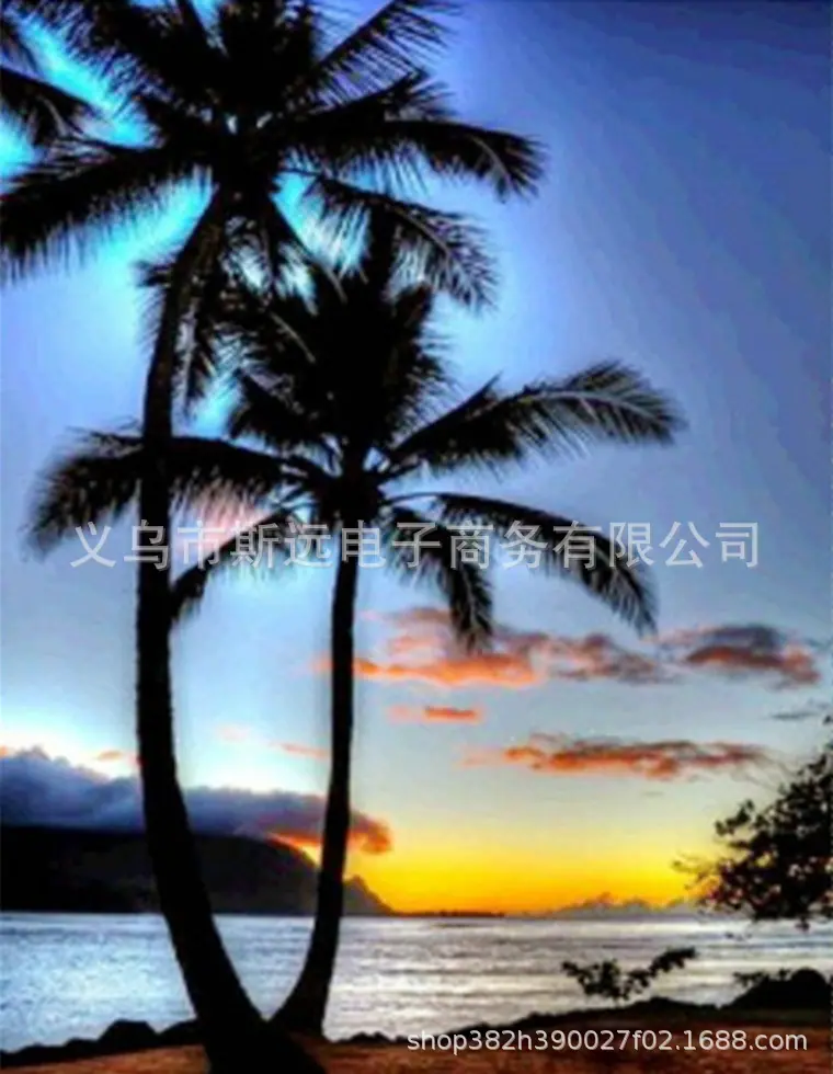 SY136   30X40