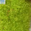 Em estoque: veludo pêssego, veludo em relevo, tecido de veludo com estampa de pena de pássaro, tecido para luvas de pelúcia, veludo escovado, tecido para brinquedos de pelúcia