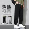 Pantalones de Marca de Moda para Hombre Primavera y Otoño Deportivos Pierna Recta Estilo Japonés Juvenil Ocio High Street Americanos