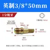 Boquilla de Aceite para Controlador de Temperatura de Molde, Boquilla de Aceite Extendida para Molde, Boquilla de Agua, Conector de Tubería de Aceite de Teflón Hecho en EE. UU. 1/8 Pulgada, 1/4 Pulgada, 3/8 Pulgada, 1/2 Pulgada
