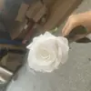 Tela de seda flor de simulación de rosa única boda al aire libre día de San Valentín regalo rosa transfronteriza rosa de simulación al por mayor