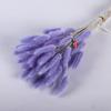 Coelho cauda grama buquê de flores secas flor material photo frame decoração diy material eterno flor rabo de cachorro grama atacado adereços de tiro