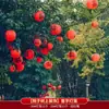 Linternas Rojas de Caracteres para Bodas Decoración de Patio de Boda Arreglo Cadena de Linternas Ambiente Rojo Fotografía de Celebración de Boda China