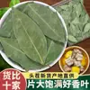Colección Completa de Especias y Condimentos: Anís estrellado, Anís, Cardamomo negro, Canela, Clavos, Venta al por mayor comercial, A granel, Combinaciones auto-seleccionadas, Ingredientes para marinar