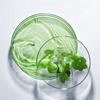 Mascarilla desechable amarilla verdosa de Centella asiática reafirmante iluminadora calmante reparadora papel de mascarilla hidratante de fácil absorción tela no tejida