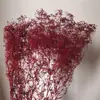 Flor Seca Estrela Milionária, Milhares de Estrelas, Gipsofila Tingida, Mobiliário para Casa, Gipsofila Artística Pequena