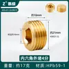 Enchufe a Prueba de Explosiones de Rosca Hexagonal Exterior de Cobre de 4 Puntos Cable Enchufe Tapa de Enchufe de 6 Puntos Tapón de Tubería de Pared de 1 Pulgada con Diente Interior Tapa para Tubería de Agua
