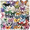 [Colección] 50 pegatinas transparentes de PET de doble cara para graffiti para decoración, álbumes de recortes DIY y pegatinas para fundas de teléfono, al por mayor