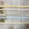 Acessórios para Roupas de Veludo de 1,2 cm Punhos Tiras para Bainha Roupa Íntima Fita Elástica para Bainha Banda Elástica Dobrada em Camada Dupla Fita de Tecido