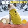 Nuevo chaleco de algodón para Bulldog Francés de color amarillo con accesorio para correa, chaleco cálido de otoño e invierno para perros pequeños y medianos, ropa para mascotas