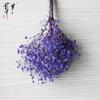 Buquê mini colorido direto da fábrica Gipsofila Flor Eterna Flor Seca Presente criativo Dia das Mães barraca Dia dos Namorados