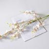 5 garfo flor artificial dançando orquídea amarelo flor falsa cross-border phalaenopsis bouquet casamento decoração decoração ornamentos orquídea dançante